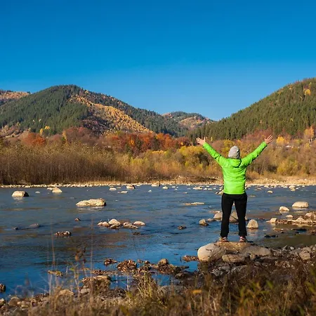 хата різьбяра *