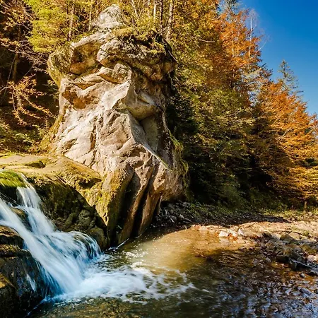 хата різьбяра Lodge *