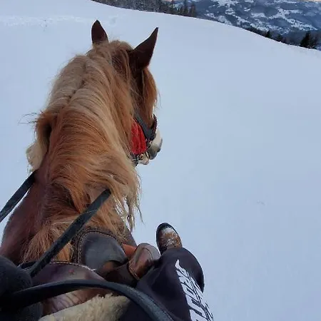 хата різьбяра Lodge