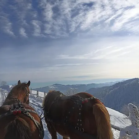 хата різьбяра Lodge *